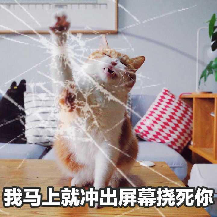 如何评价涉嫌抄袭的绿亦歌起诉原作靡宝名誉权侵权事件